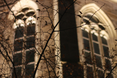 2014-11-28_um_19-38-52