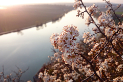 2015-04-09_um_19-26-26