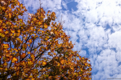 2015-10-09_um_11-22-23