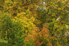 2015-10-18_um_12-03-57