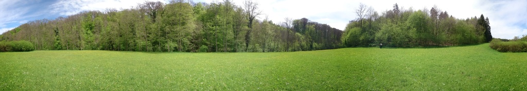 IMG_20170506_124959.vr.jpg