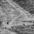 2012-04-19 um 18-26-43