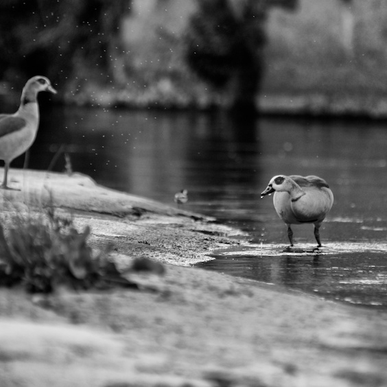 2012-04-19 um 19-24-14