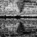 2012-04-19 um 19-24-38