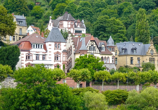 DSC09555
