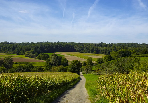 Durchs Heilbronner und Hohenloher Land