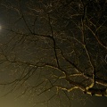 2008-02-13 um 20-08-32