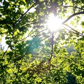 2012-07-23 um 19-05-57