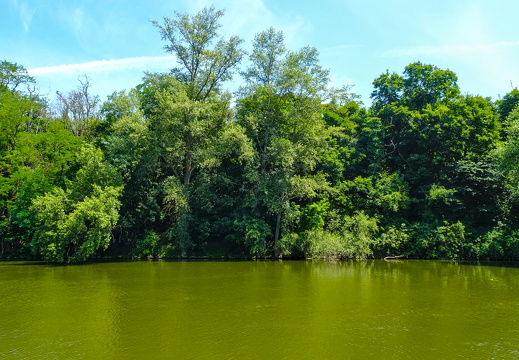 2025-06-21  13-42-57