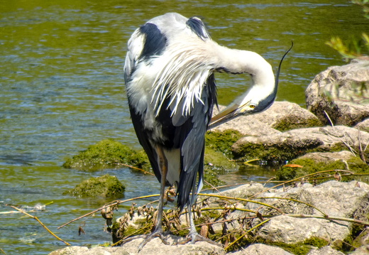 2025-06-21  13-44-00