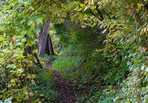 2025-10-12  13-07-16