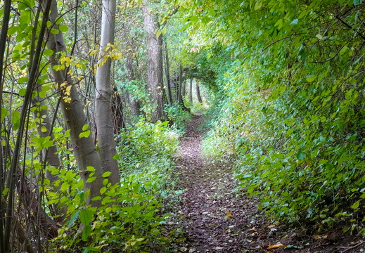 2025-10-12  13-10-32