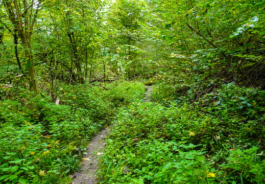 2025-10-12  13-29-37