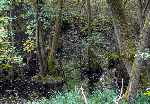 2025-10-12  13-45-20