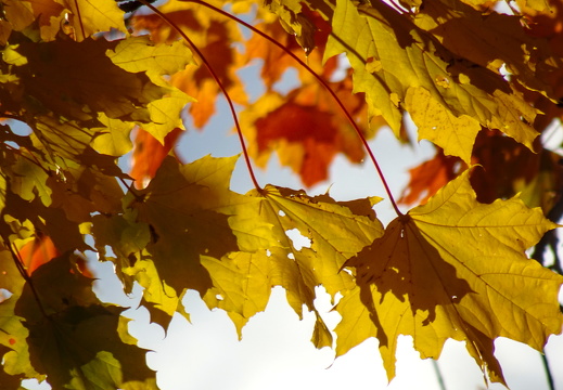 2025-10-15  16-33-09