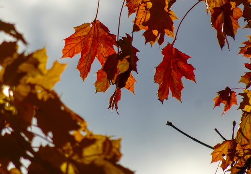 2025-10-15  16-33-15