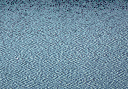 2025-10-15  16-53-28