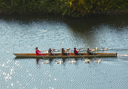 2025-10-15  16-53-38