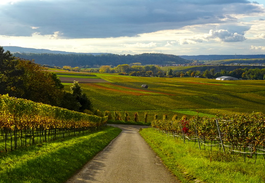 2025-10-15  16-57-57