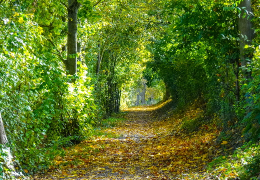 2025-10-19  13-12-55