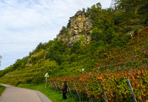 2025-10-19  13-37-58