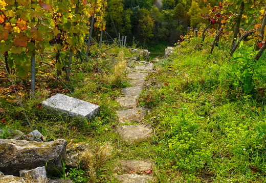 2025-10-19  14-39-28