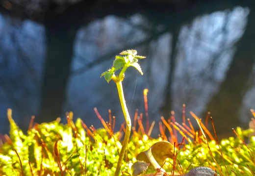 2025-12-29  15-17-27