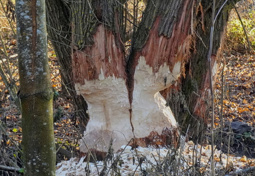 2025-12-29  15-18-10