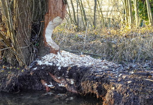 2025-12-29  15-50-43