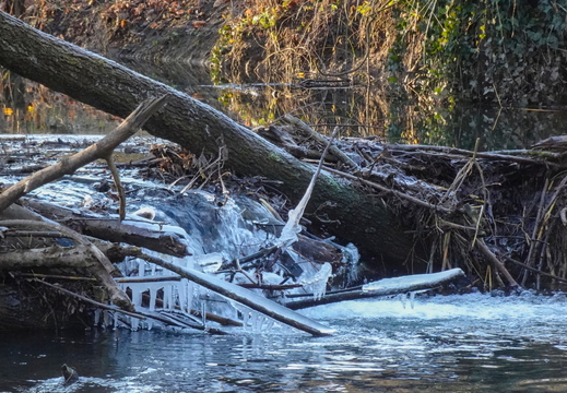 2025-12-29  15-52-59