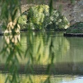IMG 4444