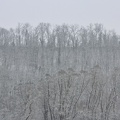 IMG 5075