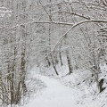 IMG 5086