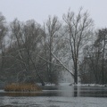 IMG 8320