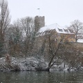IMG 8542
