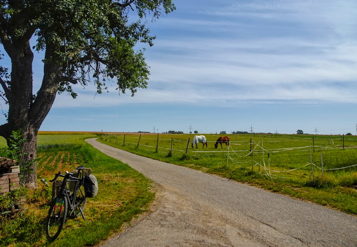 Nach Zaberfeld und irgendwie zurück