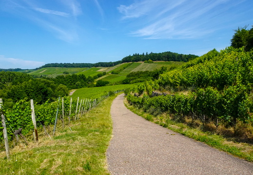 2025-06-21  11-01-28