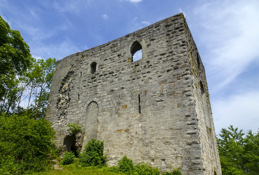 2025-06-01_12-27-52.jpg