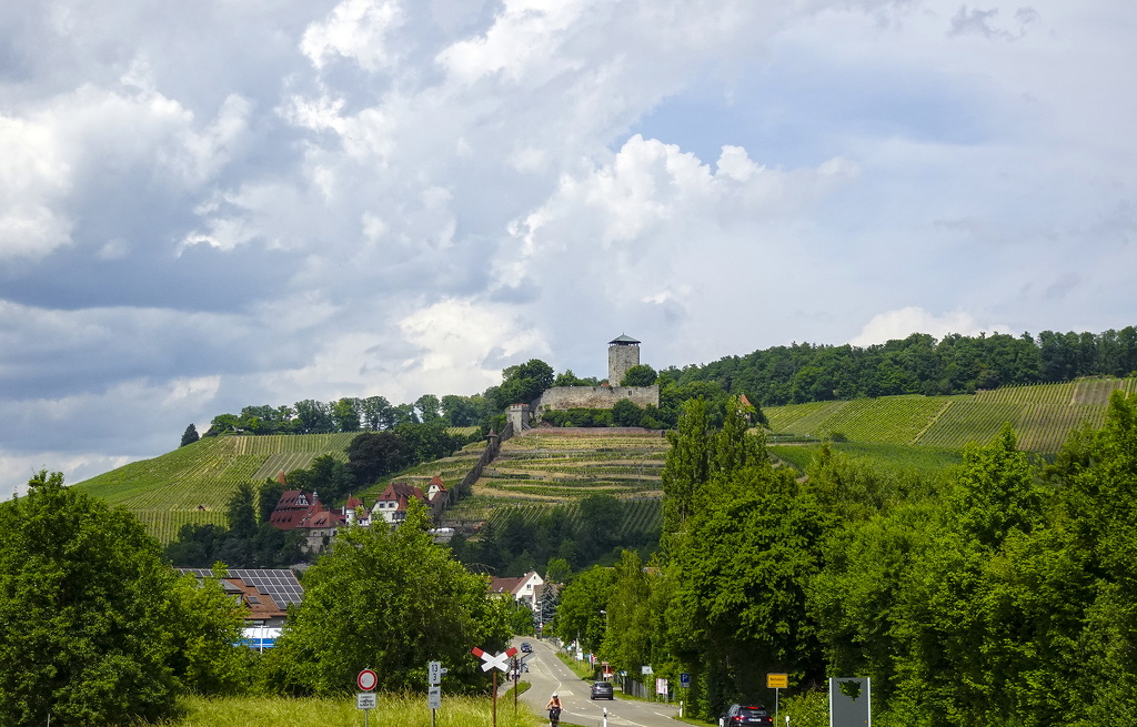 2025-06-01_14-42-33.jpg