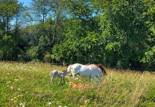 2025-08-08  16-11-13