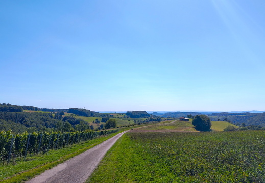 2025-08-08  16-12-46