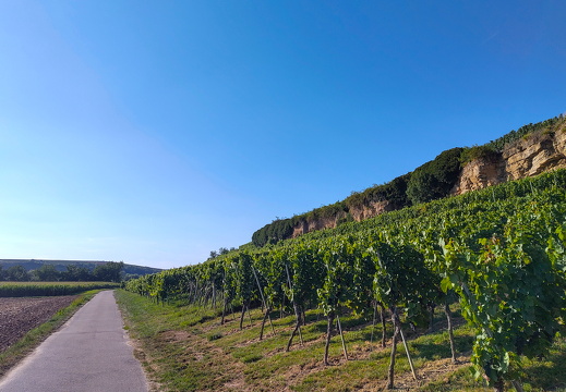 2025-08-19  17-37-36