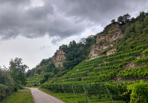 2025-08-28  17-44-58