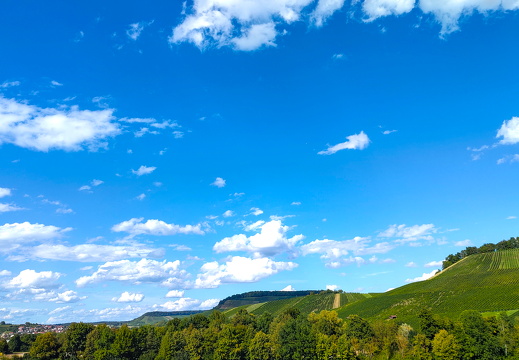 2025-08-29  16-20-15