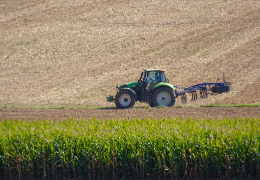 2025-09-06  11-33-55