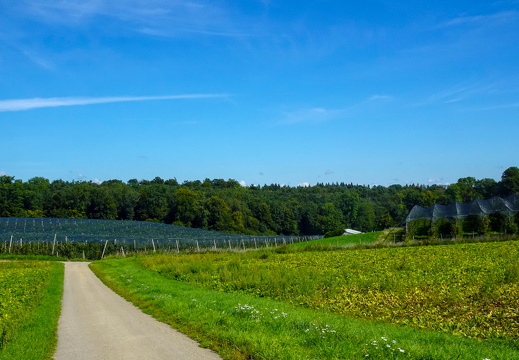 2025-09-06  11-51-56