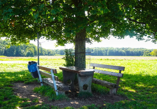 2025-09-06  12-18-03