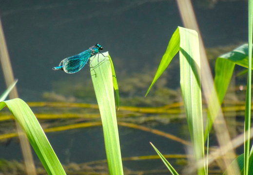 2025-09-06  13-19-17