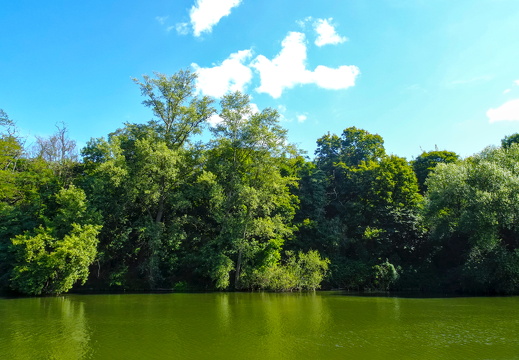 2025-09-06  13-26-18