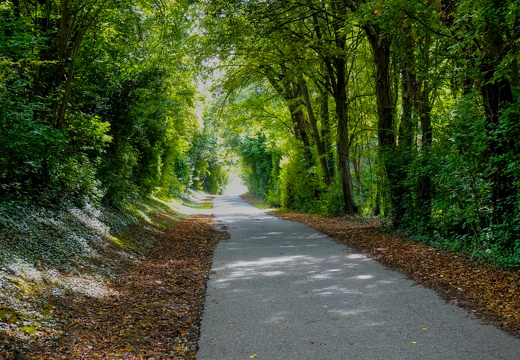 2025-09-07  13-38-16